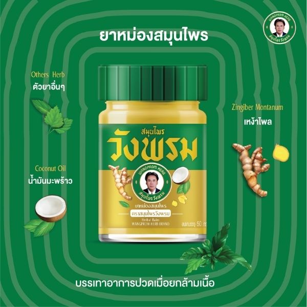 ยาหม่องสีทอง สูตรร้อน 50g ( 1 โหล )