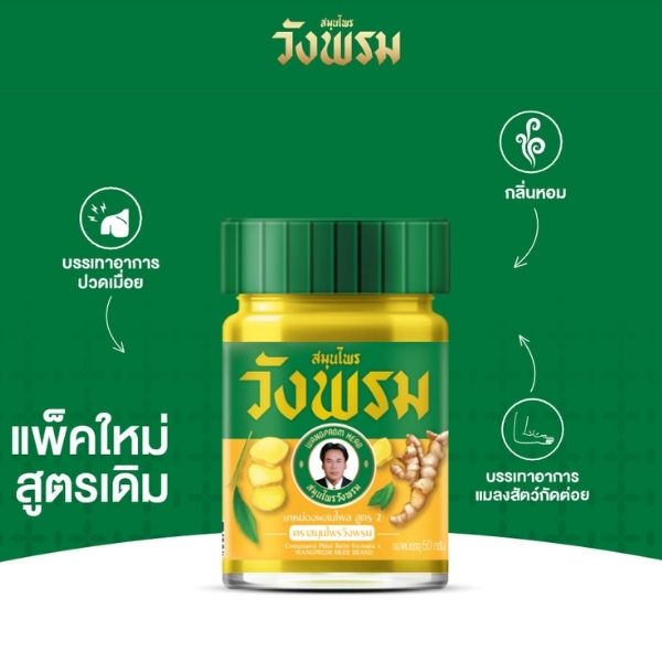 ยาหม่องสูตรไพล 50g ( 1 โหล )