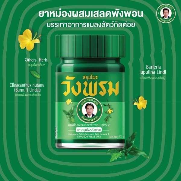 ยาหม่องสูตรเสลดพังพอน 50g ( 1 โหล )