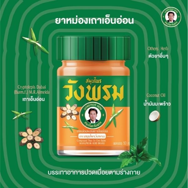 ยาหม่องสูตรเถาเอ็นอ่อน 50g ( 1 โหล )